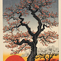 Tree Blossoms Red